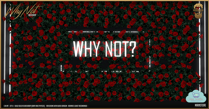 Why Not Backdrop - The Bearded Guy