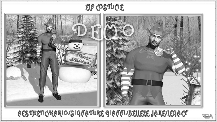 R2A-ELF COSTUME DEMO