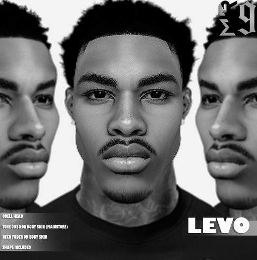 Levo Skin Demo (ODELL HEAD)