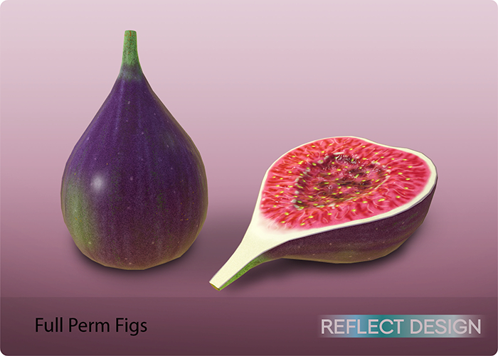 RD - Full Perm Figs