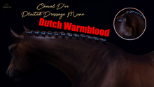 Cheval D'or / TeeglePet Dutch Warmblood / Plaited Dressage Mane. [HUD]