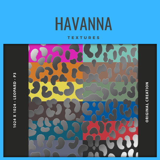 HAVANNA - LEOPARD - PACK 3