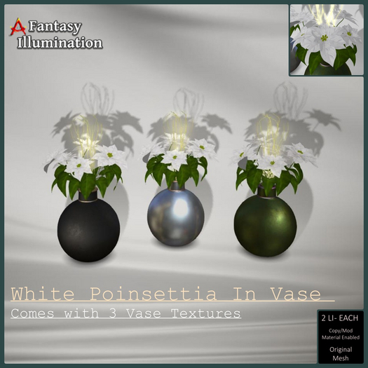 Poinsettia