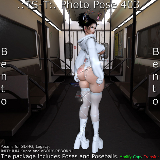 .:TS-T:. Photo Pose 403 Bento (Wear Me)