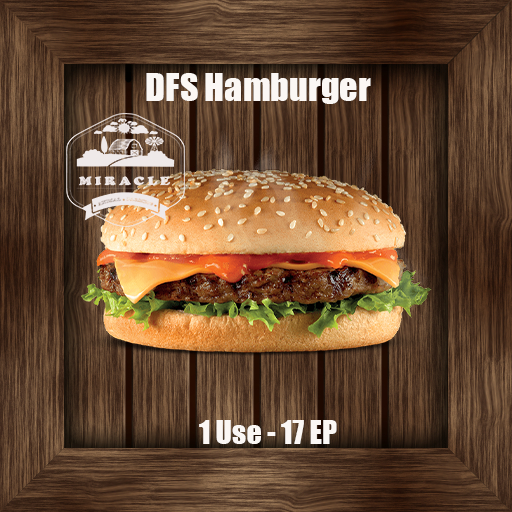 DFS Hamburger 