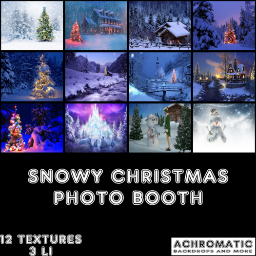 [A] Snowy Christmas Photo Booth
