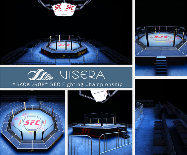 BACKDROP UFC Fighting Championship