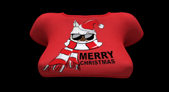 ! ! NB - Llama Merry Xmas Tee -