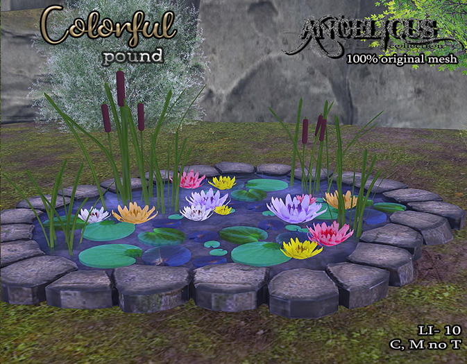 :ANGELICUS: Colorful Pound