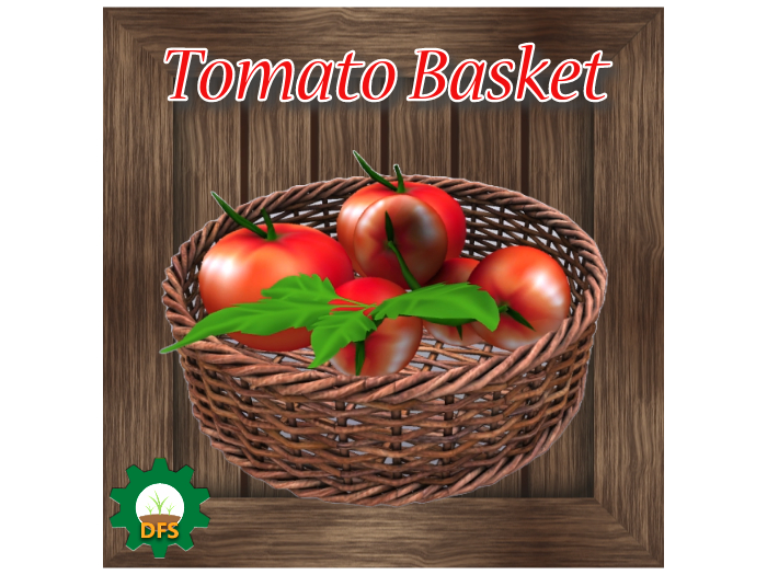 DFS Tomato Basket (Actual Item)