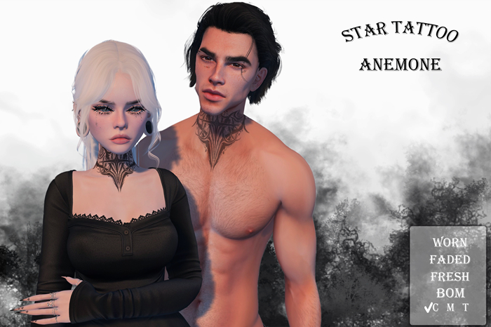 Anemone - Star Tattoo