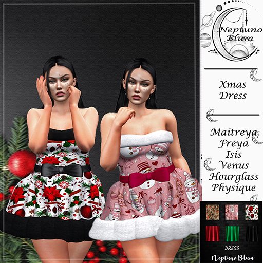 NB* XMAS DRESS