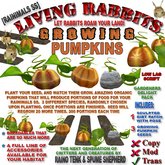 [Rainimal-SS] Living Rabbit Food - Growing Pumpkin