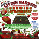 [Rainimal-SS] Living Rabbit Food - Growing Strawberries