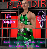 TC$ Mens Apron XMas Green PKG
