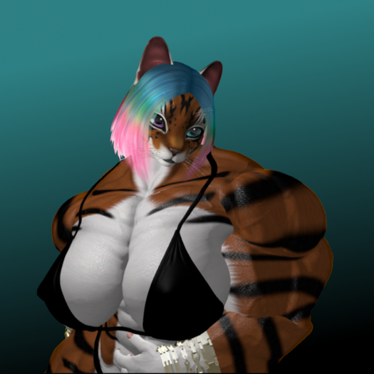 AV-Skin Applier fur Tiger