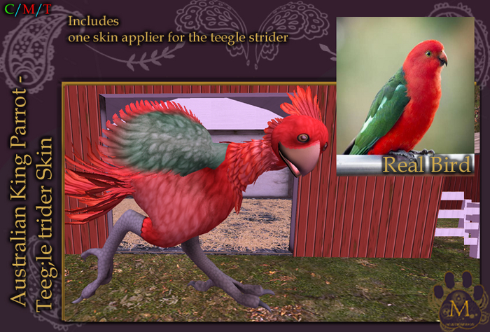 *M* Australian King Parrot Strider Unpacker