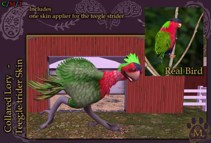 *M*  Collared Lory Strider Unpacker