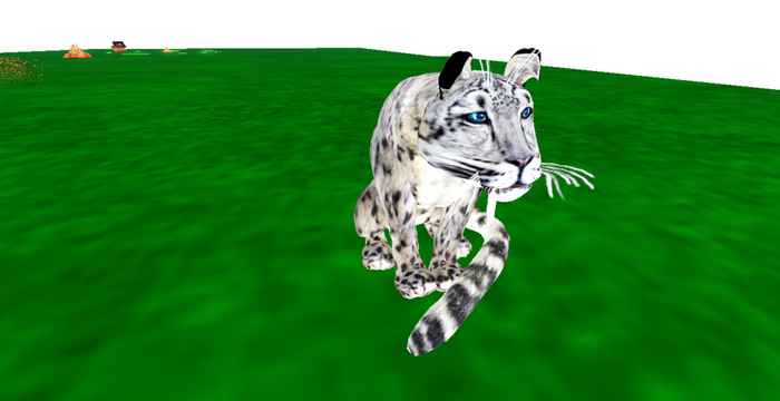 Christmas Snow leopard