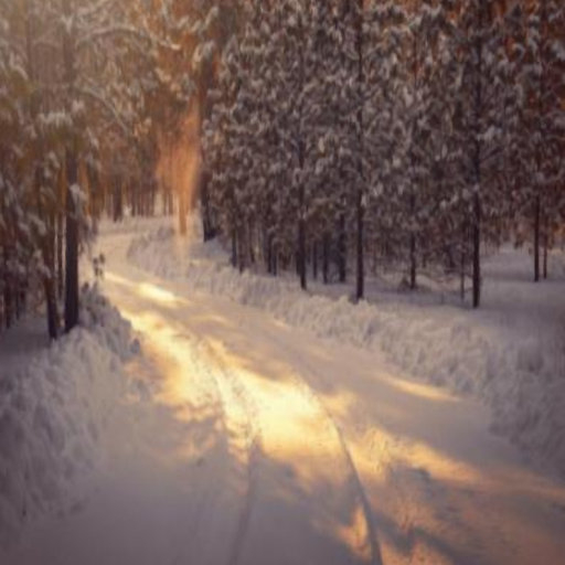 winter forest privacy screen