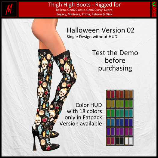 Michelle's Thigh High Boots - H02