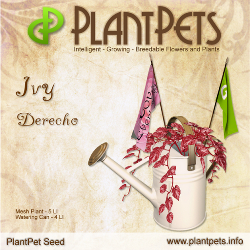 PlantPet Seed [Ivy *Derecho*]