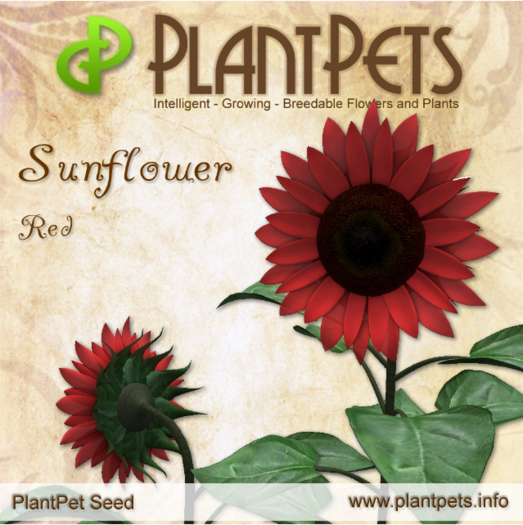 PlantPet Seed [Sunflower *Red*]