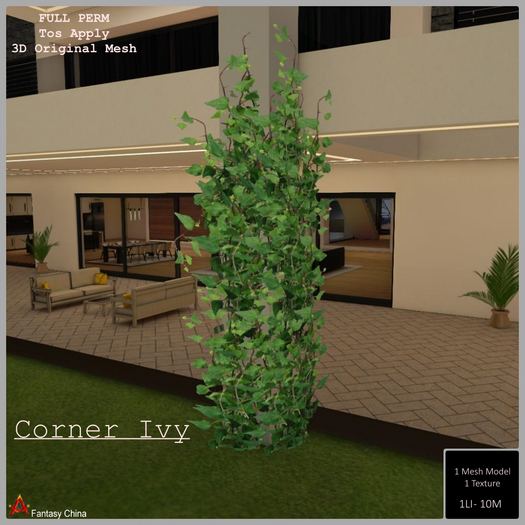 Full Perm Corner Ivy