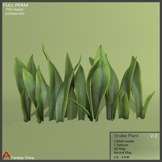 Full Perm Snake Plant v-2
