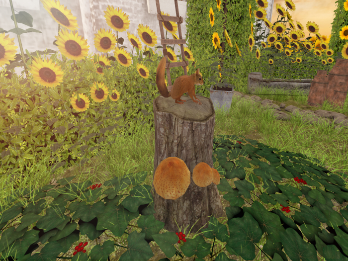 Animated Squirrel with Nut Touch to Start/Stop
