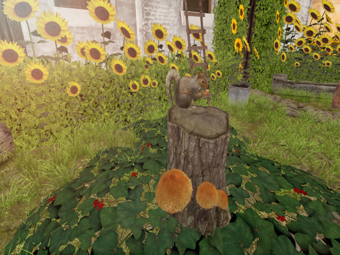 Squirrel Animated