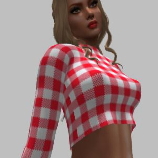 Crop Top red gingam