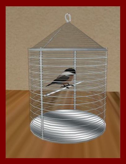 Round bird cage