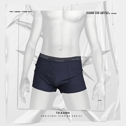 [Traume] Scripture Ver.X Briefs Navy Blue