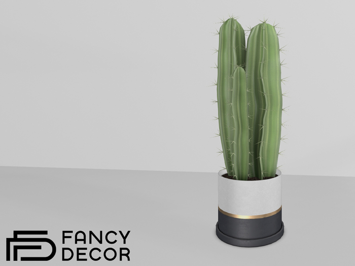 Fancy Decor: Nichols Potted Cactus