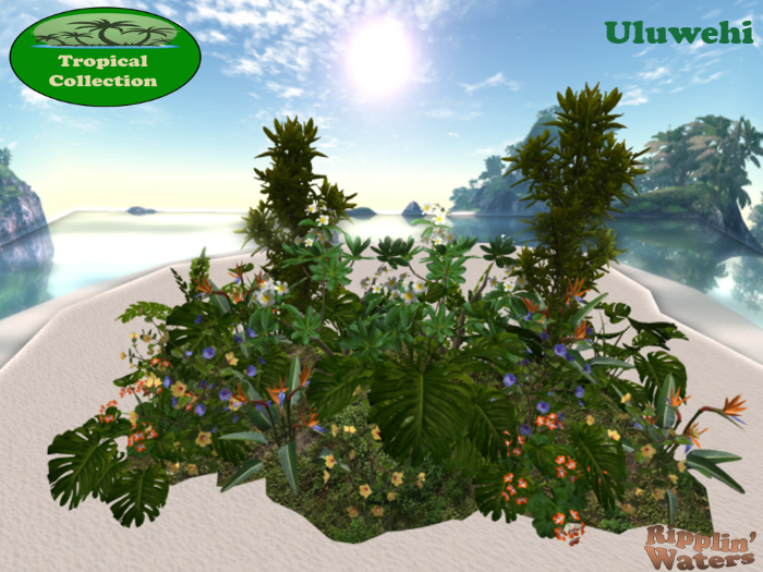 RW - Tropical colorful border *Uluwehi* c/m