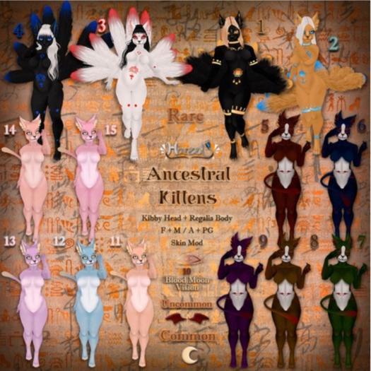 . Hanzel . Ancestral Kittens / 15. Voucher Box COMMON