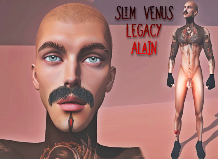 Slim Venus Shape And Style card