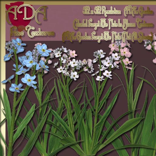 P3D ADAs Garden Forget Me Nots