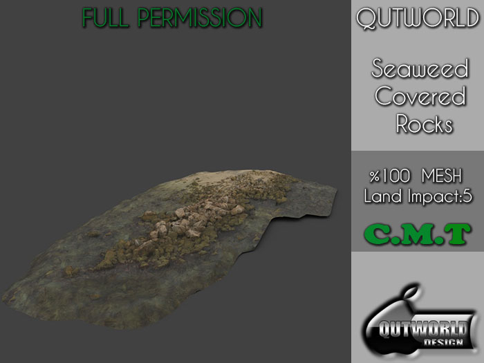 .::QUTWORLD  Seaweed-Covered Rocks::.FP 