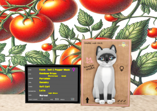 KittyCatS Box - F-Foxie - Salt & Pepper Mask