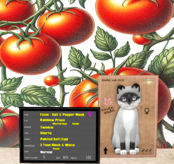 KittyCatS Box - F- Foxie - Salt & Pepper Mask 9T