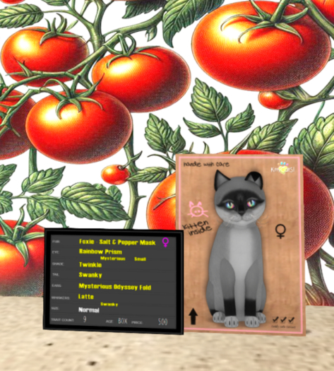 KittyCatS Box - F- Foxie - Salt & Pepper Mask 9T