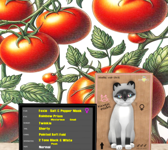 KittyCatS Box - F-Foxie - Salt & Pepper Mask 7T