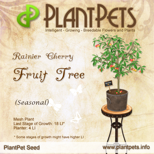 PlantPet Seed [Fruit Tree *Rainier Cherry*] (Seasonal)