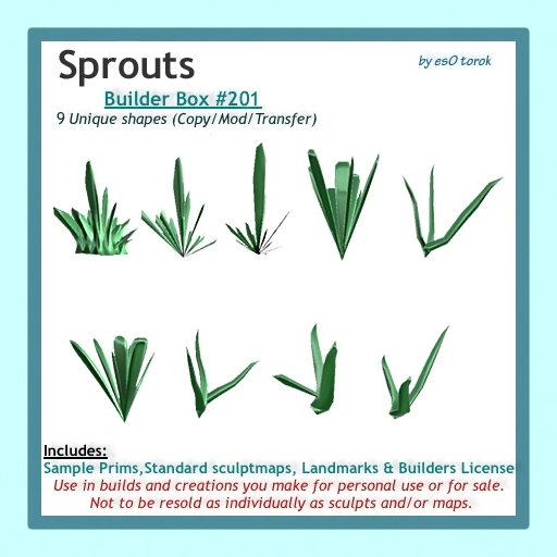 Sprouts Builder Box 201