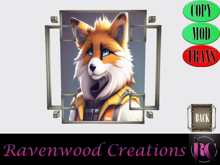 Furry Fox Astro
