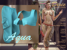 [seeker] Dixie Aqua