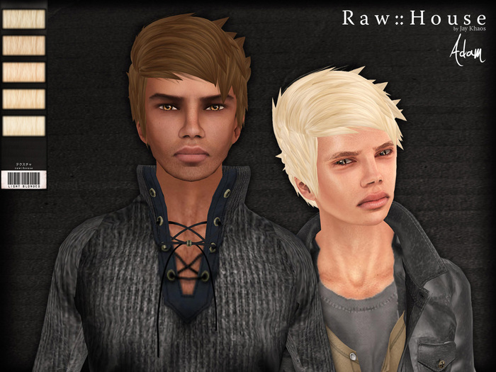 RAW HOUSE :: Adam Hair [Light Blondes]