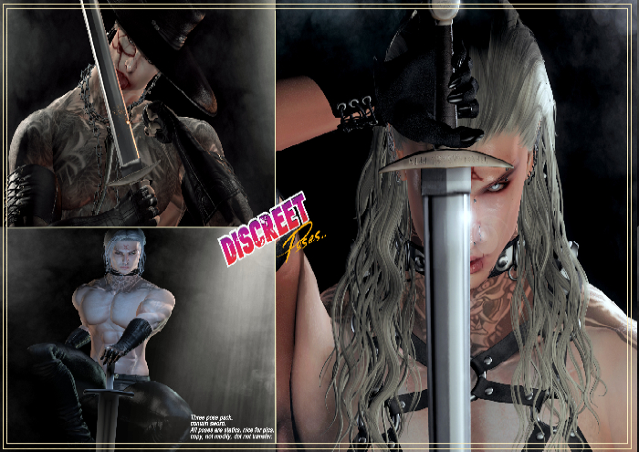 Discreet Poses, Sword Volumen.4